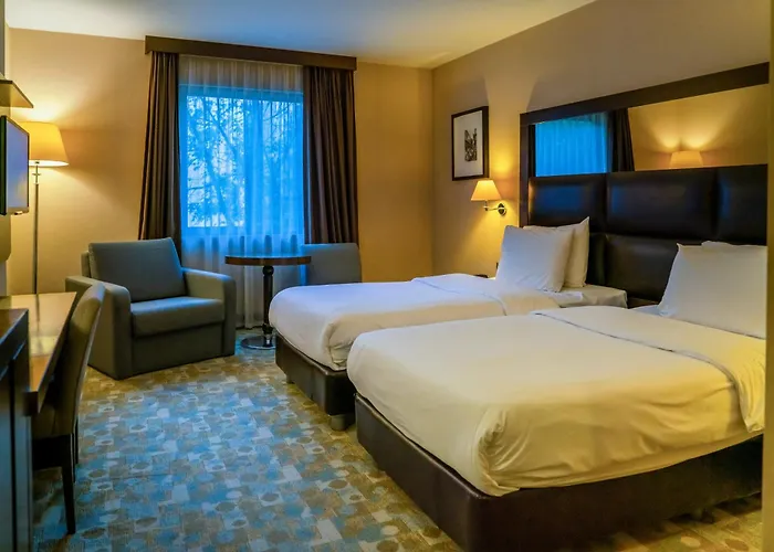 ميدتاون فندق 4*